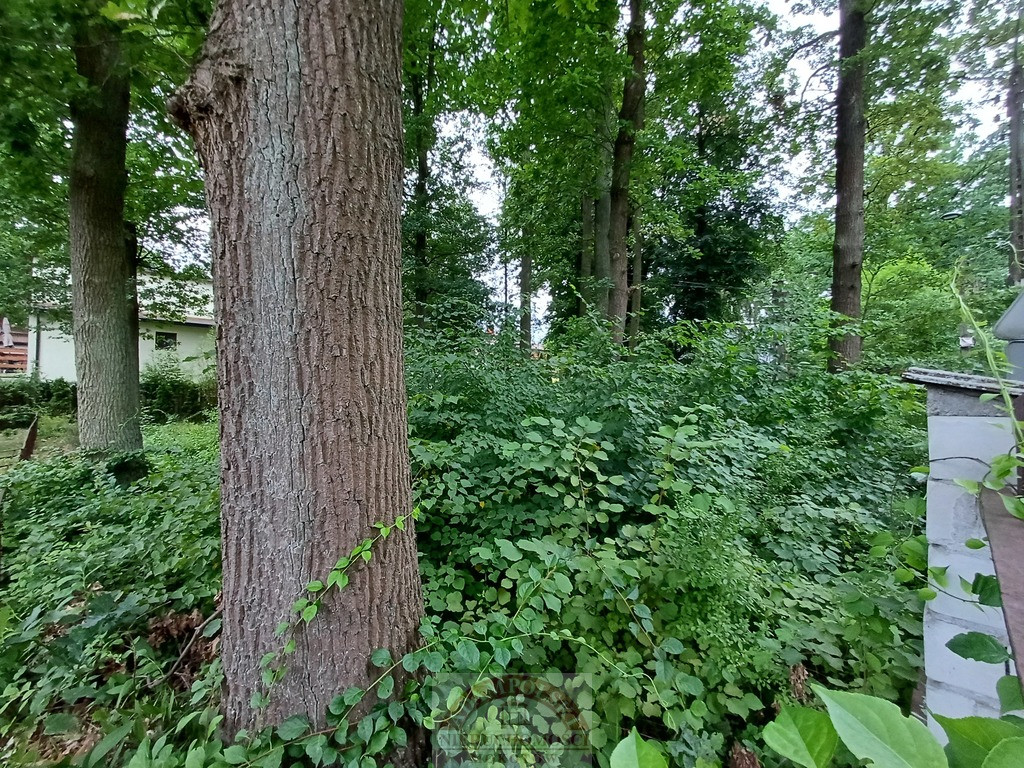 Działka Sprzedaż Warszawa Wesoła Lipowa 1