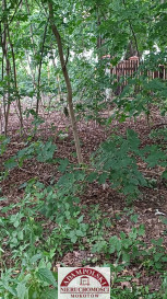 Działka Sprzedaż Warszawa Bielany