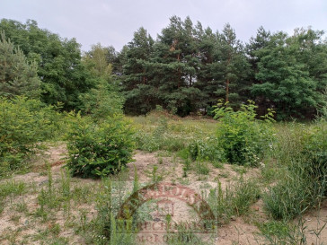 Działka Sprzedaż Warszawa Wesoła