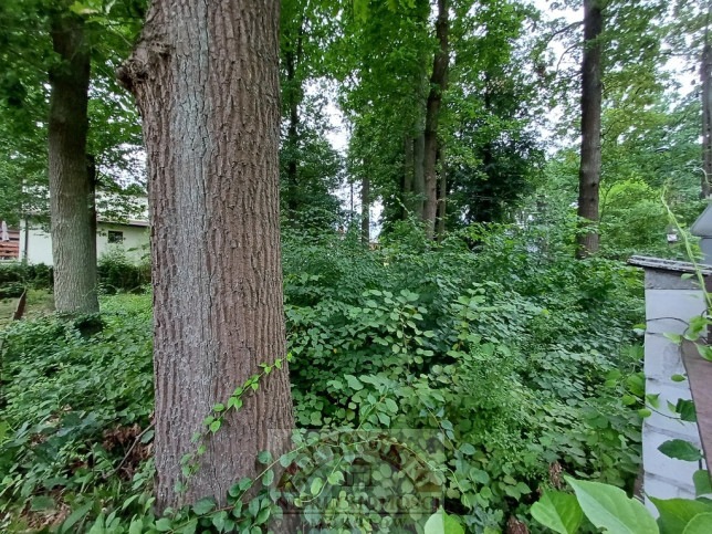 Działka Sprzedaż Warszawa Wesoła Lipowa 1