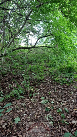 Działka Sprzedaż Warszawa Bielany 2