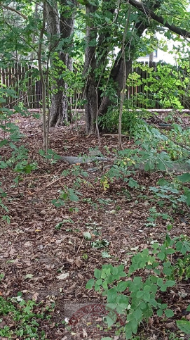 Działka Sprzedaż Warszawa Bielany 5