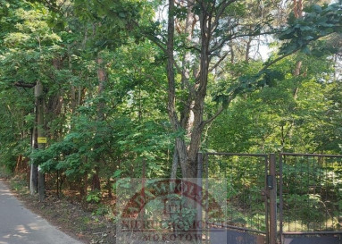 Działka Sprzedaż Warszawa Wawer